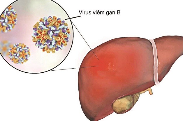 Lợi ích từ việc tiêm phòng vắc xin ngừa viêm gan B