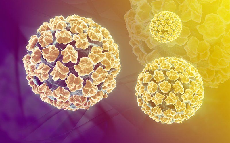 Lưu ý khi dùng gel đặt âm đạo Papilocare hỗ trợ đào thải virus HPV