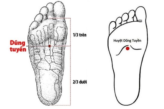 Mất ngủ bấm huyệt nào để có giấc ngủ ngon?