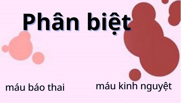 Máu báo thai là gì, xuất hiện khi nào – Mẹ bầu đã biết?