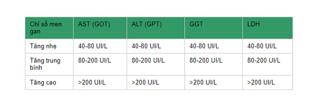 Men gan bao nhiêu là cao? Cách hạ men gan hiệu quả
