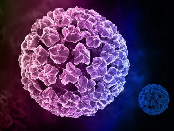 Mũi hpv tiêm mấy mũi và những đối tượng nên tiêm