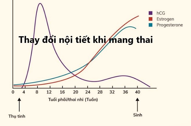 Ngứa vùng kín khi mang thai – Mẹ bầu chớ coi thường