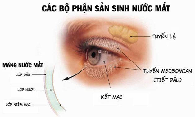 Người lớn tuổi bị bệnh khô mắt có nguy hiểm không?