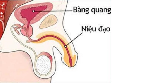 Nguyên nhân gây bí tiểu ở trẻ em các mẹ cần quan tâm