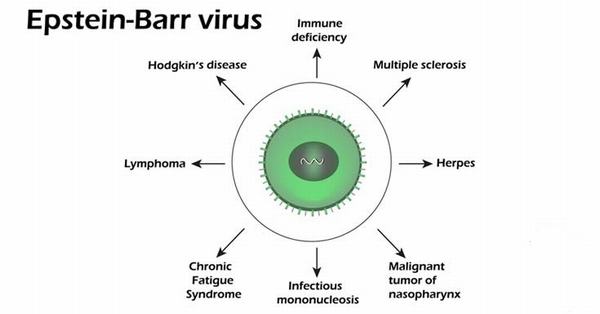 Nguyên nhân nhiễm virus EBV