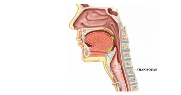 Nguyên nhân và cách điều trị đau thanh quản