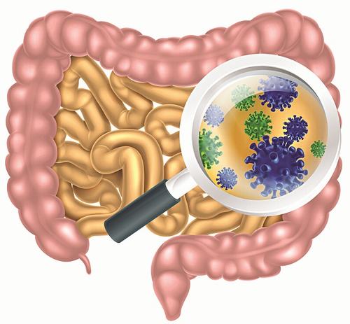 Nguyên nhân và cách phòng ngừa bệnh nhiễm trùng đường ruột