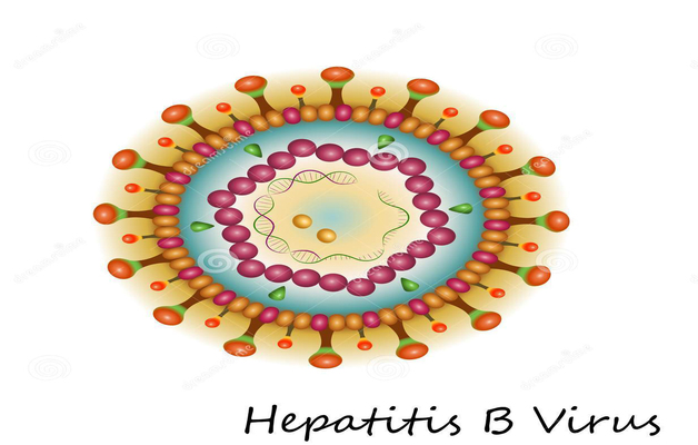 Nguyên nhân viêm gan siêu vi B và các cách phòng tránh