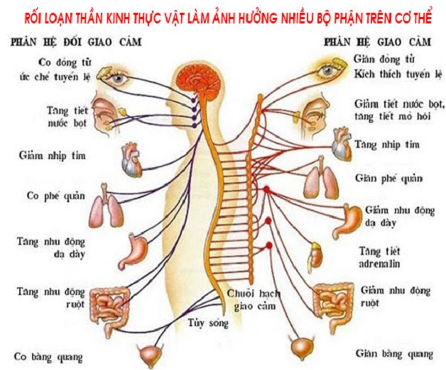 Nhận biết các biểu hiện rối loạn thần kinh thực vật 