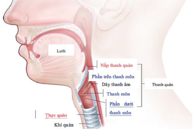 Nhận biết sớm các biểu hiện ung thư thanh quản