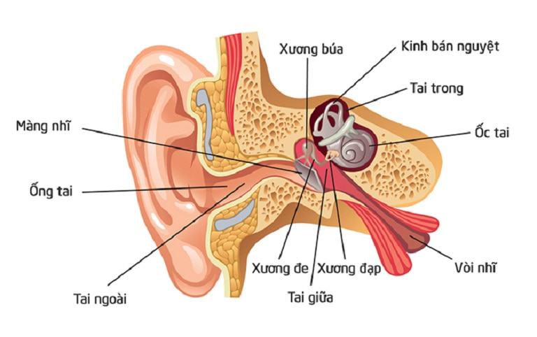 Nhận biết và điều trị viêm ống tai ở trẻ