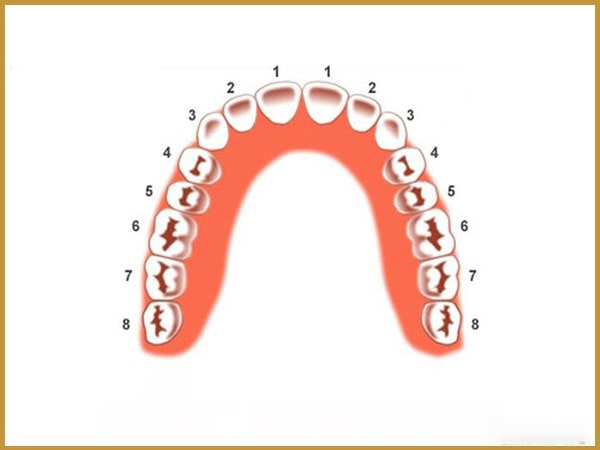 Nhổ răng hàm có sao không? Nhổ bằng phương pháp nào tốt?