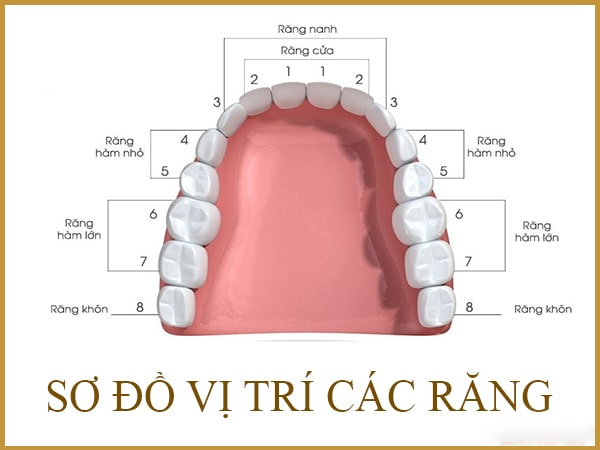 Nhổ răng số 7 bằng cách nào an toàn?