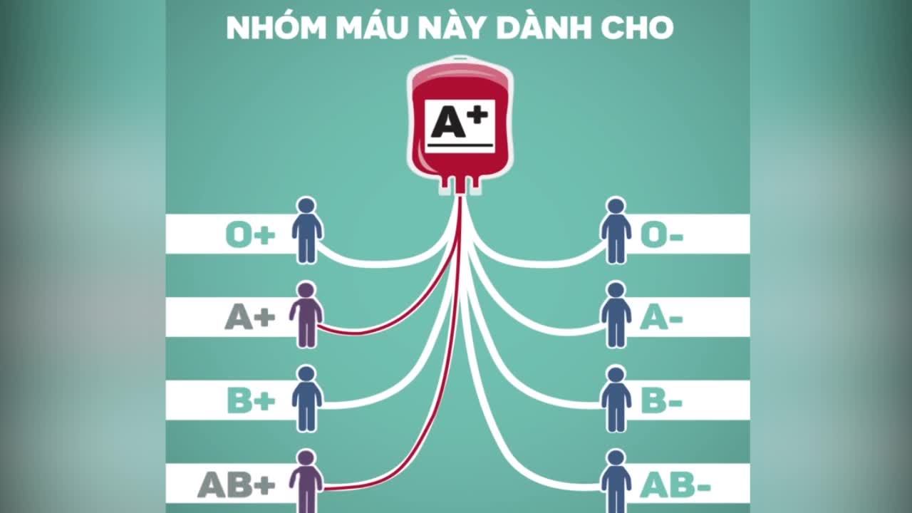 Nhóm máu ab nhận được nhóm máu nào?