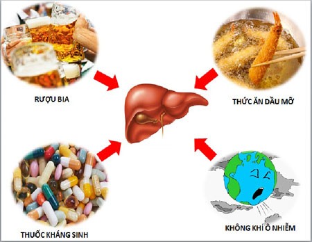 Những ảnh hưởng nghiêm trọng từ bệnh xơ gan mất bù