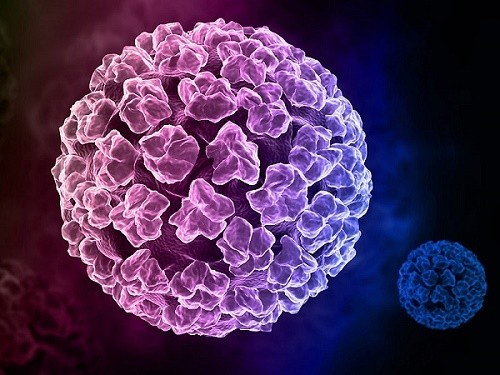 Những câu hỏi thường gặp về HPV