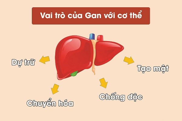 Những dấu hiệu cho thấy gan bị ung thư cần biết