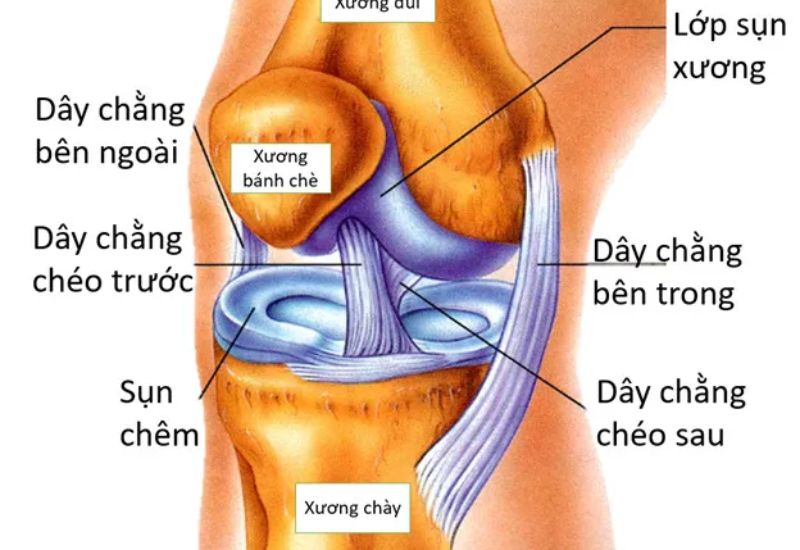 Những điều cần biết về chấn thương phần mềm đầu gối