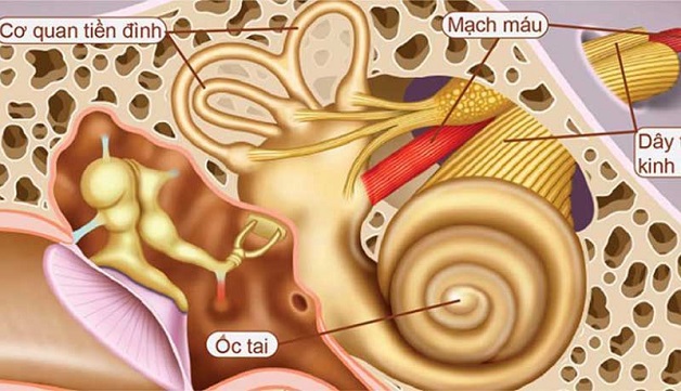 Những điều cần biết về rối loạn tiền đình