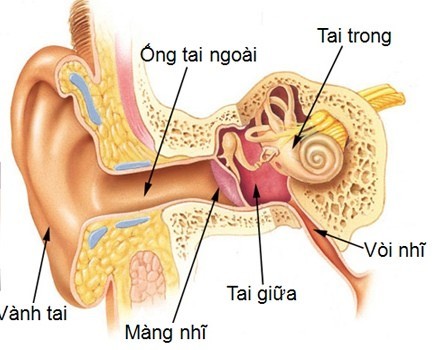 Những điều cần biết về viêm tai giữa ở trẻ nhỏ