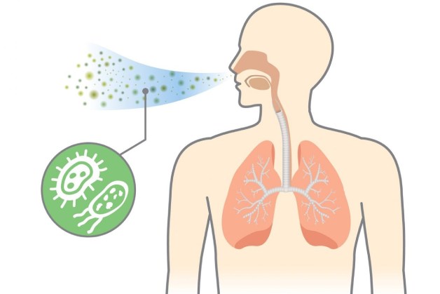 Những loại vacxin hỗ trợ phòng bệnh viêm phổi khi giao mùa