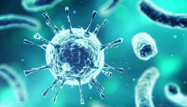 Những loại virus lây bệnh cho trẻ qua nụ hôn?