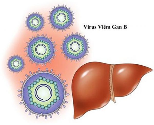 Những triệu chứng cảnh báo viêm gan B