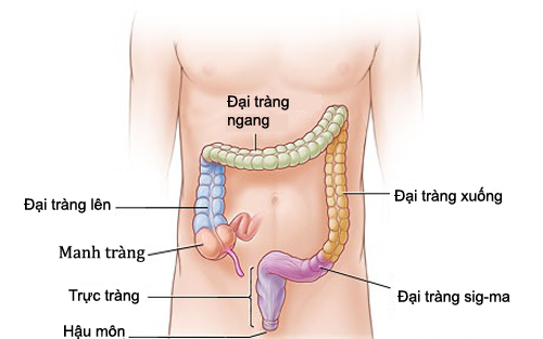 Những triệu chứng ung thư trực tràng điển hình