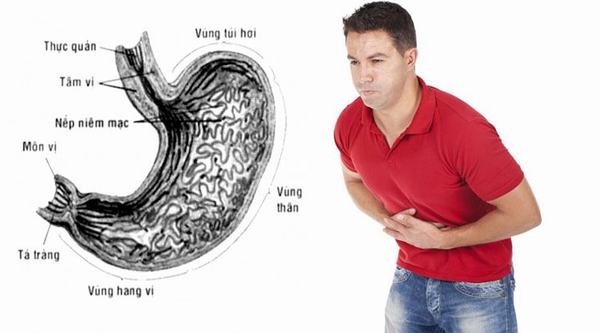 Nội soi dạ dày giá bao nhiêu?