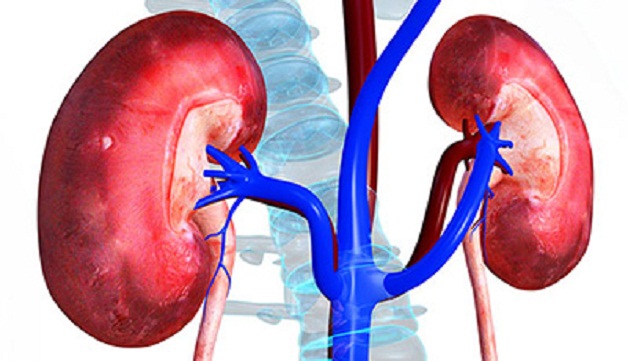 Nội soi lấy sỏi thận qua da – xâm lấn tối thiểu, hiệu quả cao