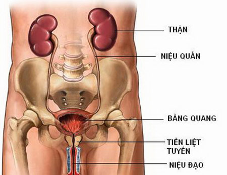 Phòng khám thận tiết niệu uy tín tại Hà Nội