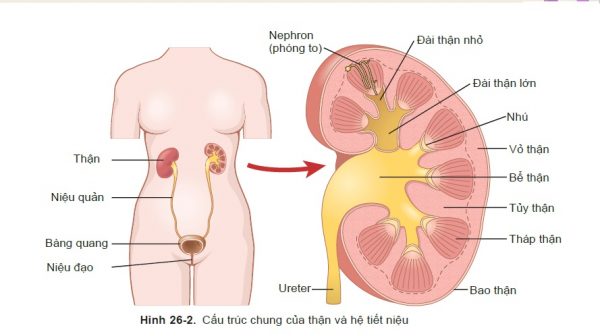 Phòng khám thận tiết niệu uy tín tại Hà Nội