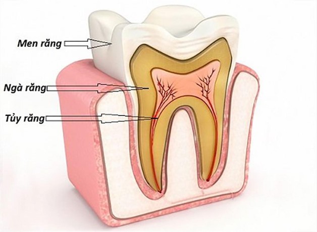 Răng khôn bị viêm tủy nguy hiểm như thế nào?