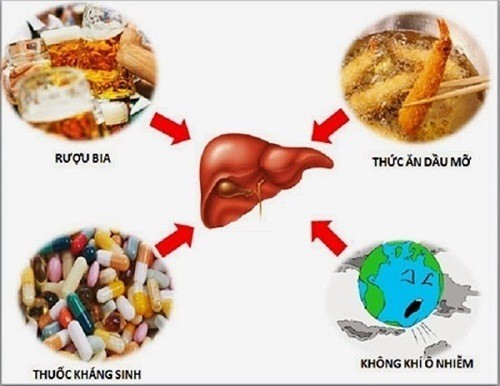 Rối loạn chức năng gan làm sao để chữa trị?