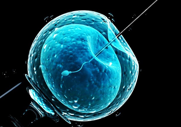 Rối loạn kinh nguyệt sau IVF có nguy hiểm không?