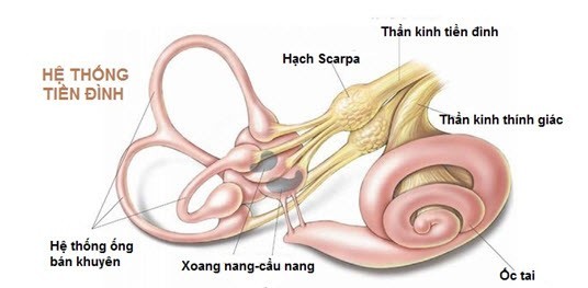 Rối loạn tiền đình có nguy hiểm không?