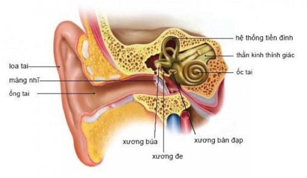 Rối loạn tiền đình khám khoa nào? Khi nào cần đi khám?