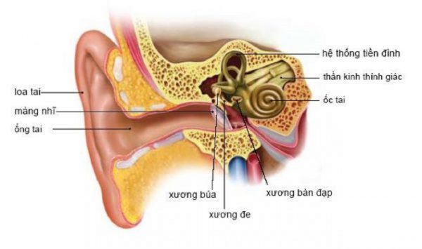 Rối loạn tiền đình trung ương dai dẳng, khó chữa