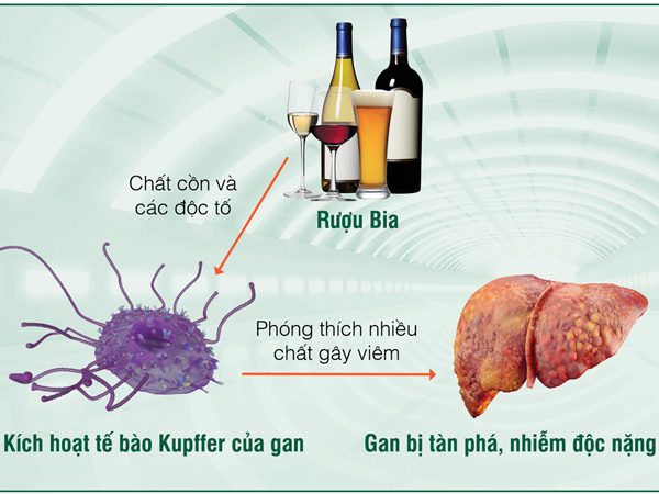 Rượu bia ảnh hưởng đến lượng đường huyết trong