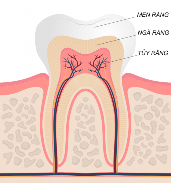 Sâu tủy răng là bệnh lý gì? Có nguy hiểm không?