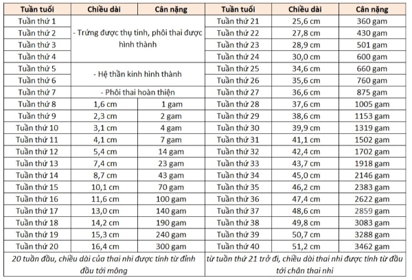 Siêu âm cân nặng thai nhi bị giảm có nguy hiểm không?