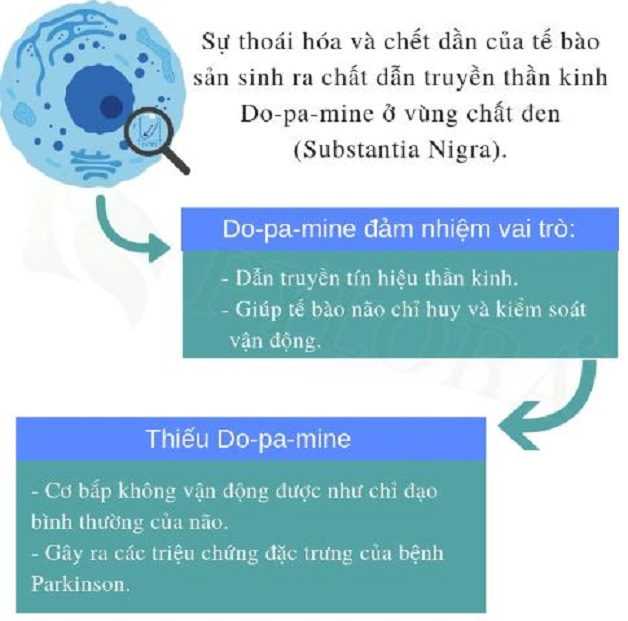 Sinh lý bệnh parkinson và nồng độ dopamin trong dịch não tủy