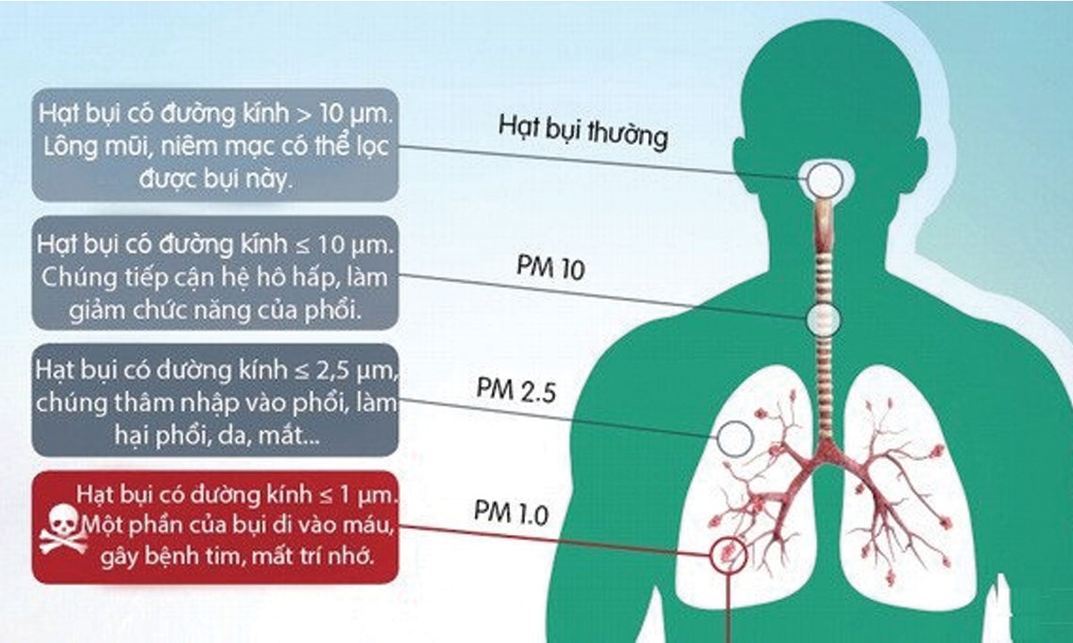 Sự nguy hại của không khí ô nhiễm và cách bảo vệ hệ hô hấp