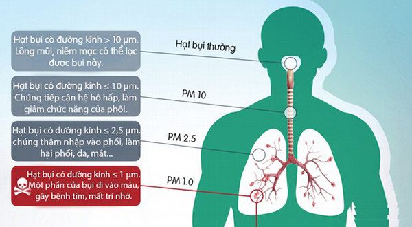 Sự nguy hại của không khí ô nhiễm và cách bảo vệ hệ hô hấp