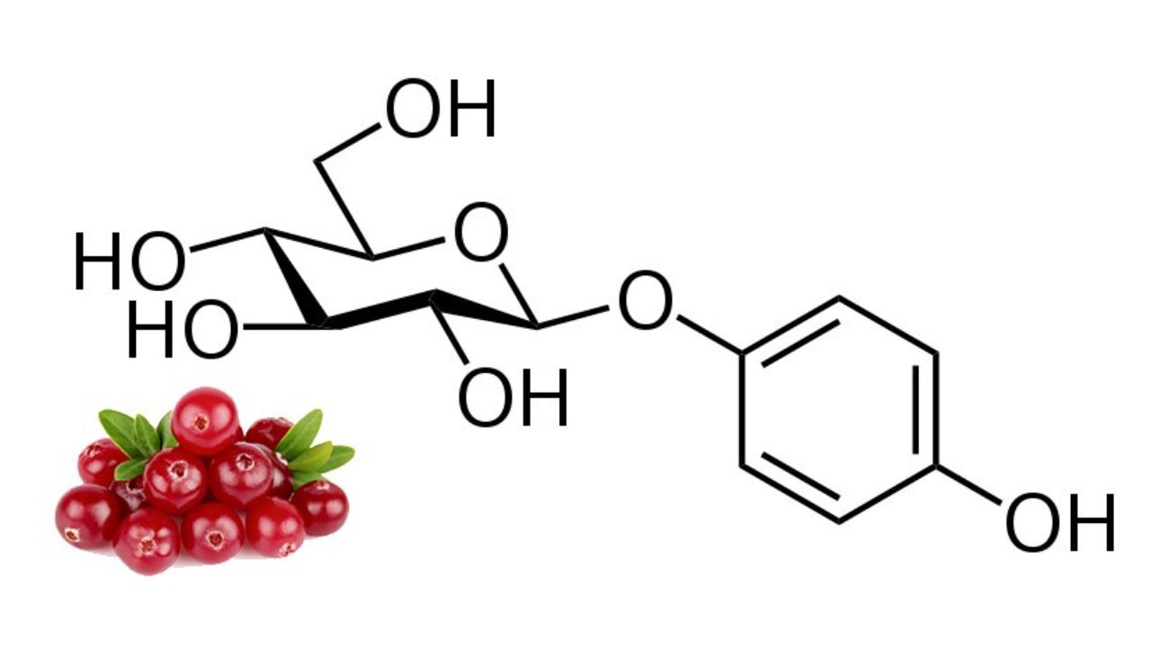 Tác dụng của arbutin trong chăm sóc da