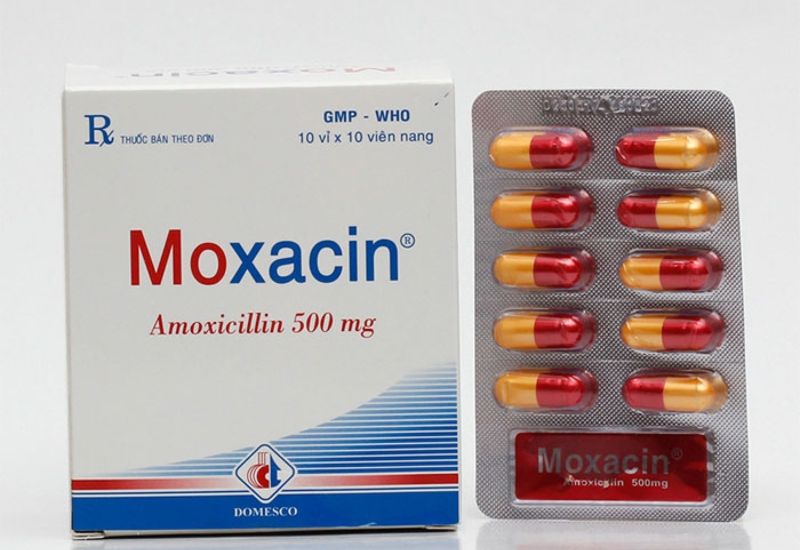 Tác dụng của Moxacin và cách sử dụng hiệu quả