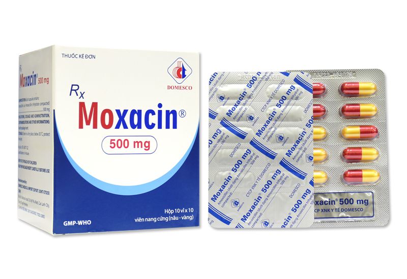 Tác dụng của Moxacin và cách sử dụng hiệu quả