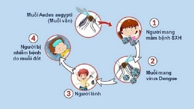 tác hại của sốt xuất huyết rất "ghê gớm" 