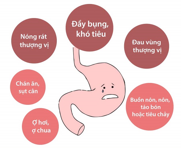 Tại sao bị viêm loét dạ dày: Cách điều trị